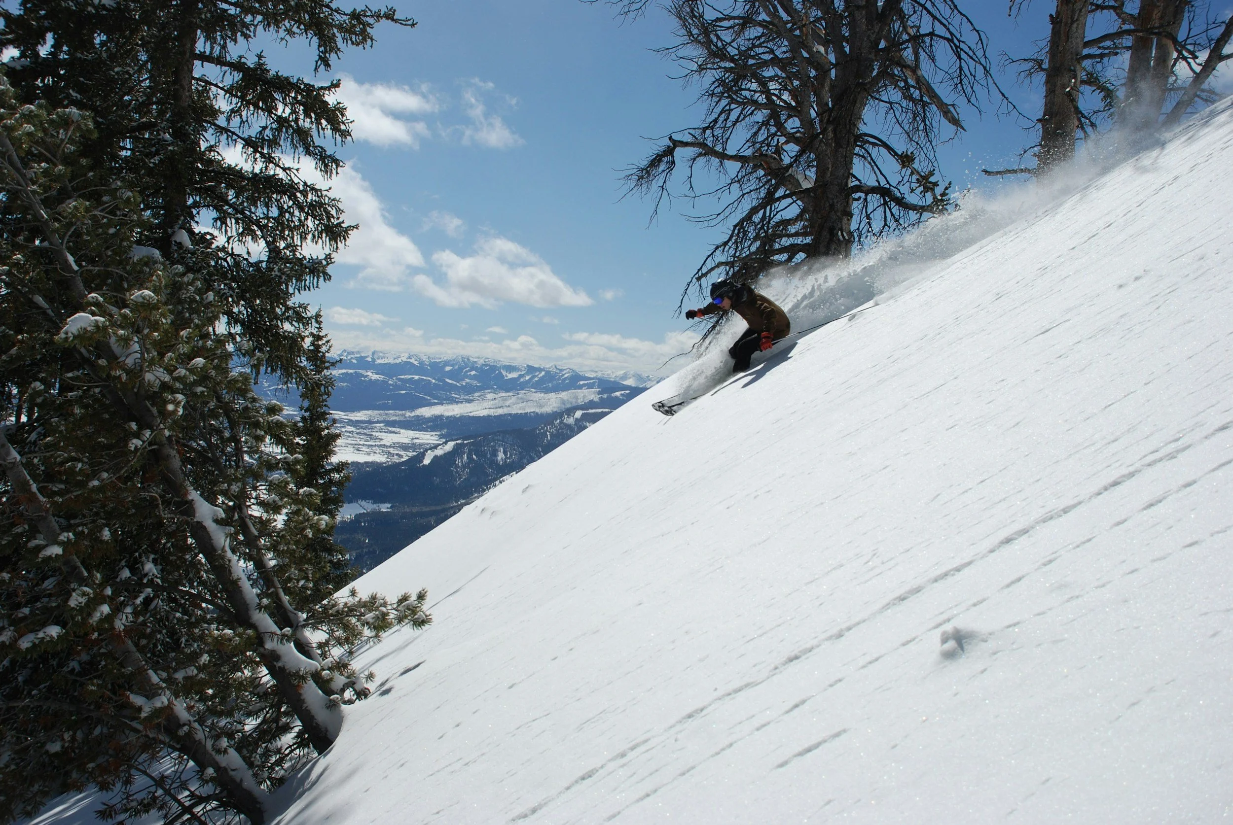 Skier carving a turn on an alpine face at golden hour